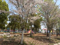 -云幽谷旅游区