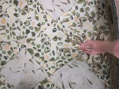 -雅安楠水阁温泉酒店