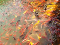 -泰安地下龙宫景区