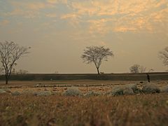 -盘龙城国家考古遗址公园