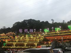 -枇杷园食为鲜火锅(南山店)