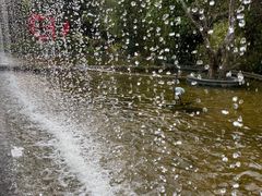 -亚龙湾热带天堂森林公园