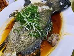 -老字号蛇口德记烧腊饭店·海鲜加工
