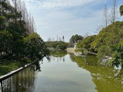 -江心屿景区