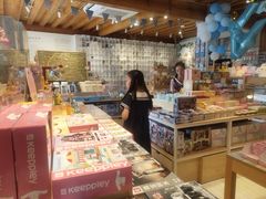 -猫的天空之城概念书店(丽江古城饮玉巷店)
