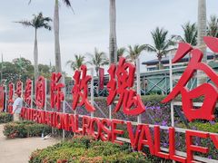 -亚龙湾国际玫瑰谷