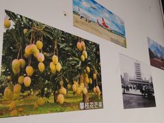 -攀枝花野菜铜火锅(万科凯德店)