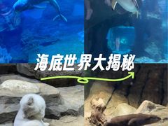 -郑州海洋馆