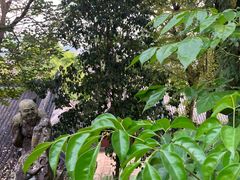 -中国观音故里广德景区