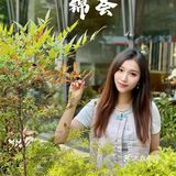 徐汇的老钱都爱来这家