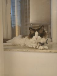 -闺蜜瑜伽·普拉提女性塑形馆