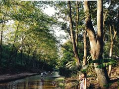 -铜锣山矿山公园