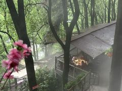 -巴倒烫陆派火锅山庄(南山总店)