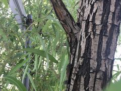 -无忧学车·大众驾校(长宁校区)
