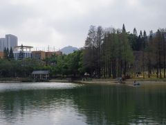 -四海公园(南山区)