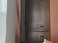 -东方名猫馆·英短金渐层布偶猫舍(环线广场1号楼店)