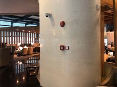 -虹桥机场国航贵宾室v8