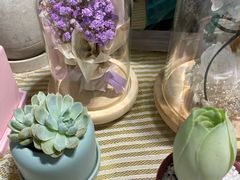 -Libra Flora花店(骆岗中央公园店)