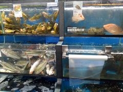 -盒马鲜生(曜一城店)