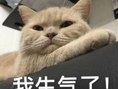 -锐动健身(博地中心店)