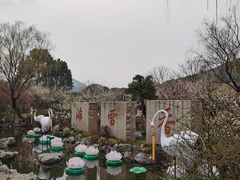 -香雪海