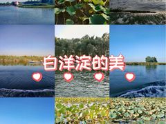 -白洋淀景区