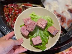 -蜀大侠火锅(森兰花园城店)