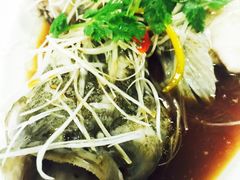 新天世纪中餐厅-新天世纪中餐厅