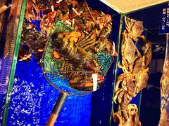 -高佳庄·舟山海鲜(海景旗舰店)