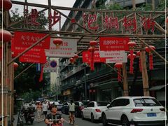 -泡桐树街