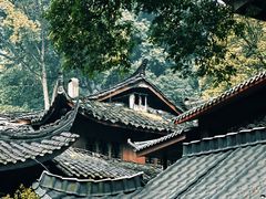 -碧峰峡风景区