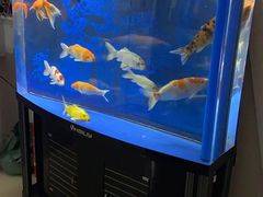 -足来足往养生会所