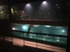 -清迈夜间动物园