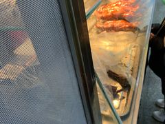 -上海枇杷烤鸭(燕丰商场店)