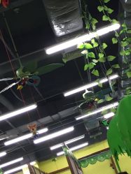 -卡通尼乐园(印象汇店)