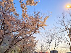 -龙美术馆西岸馆-停车场