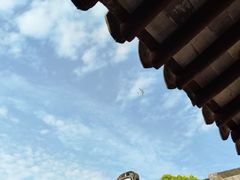 -上海醉白池公园