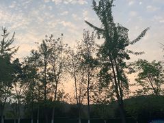 -重庆市江北嘴中央商务区中央公园