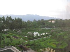 阳台望出去的后花园-肇庆奥威斯酒店