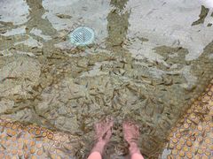 -金石唐风国际温泉会馆