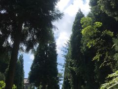-武陵山森林公园