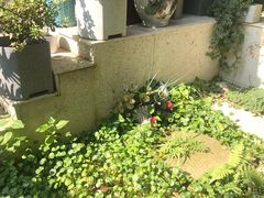 -谷咖啡·鲜花绿植花园餐厅