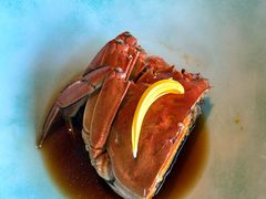 -新荣记(BFC外滩金融中心店)