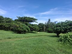 -鹅銮鼻公园