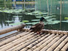 -吉林大学(前卫南区)