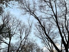 -恭王府博物馆