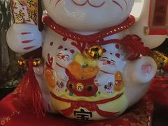 -梵猫·新养生(福州万象城店)