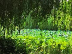 -济南方特东方神画