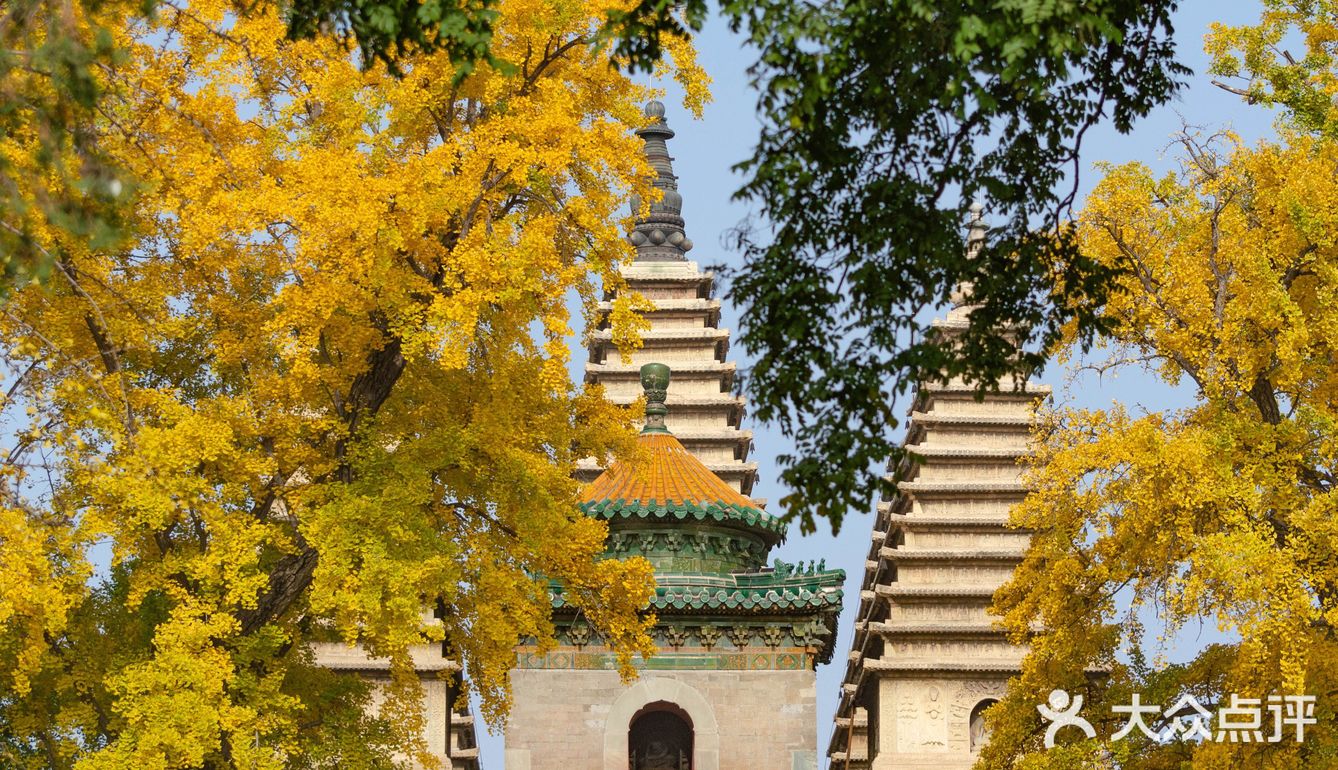 绝美的五塔真觉寺石刻博物馆（攻略篇）