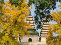 -北京石刻艺术博物馆(五塔寺)